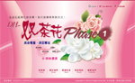 前往：双茶花 Phase1